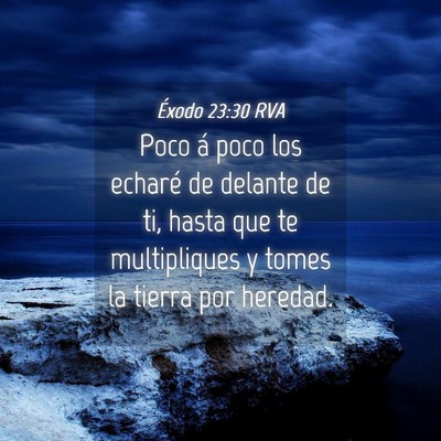 Picture 04 - Éxodo 23:30 RVA - Poco á poco los echaré de delante de ti, hasta - Bible Verse Picture
