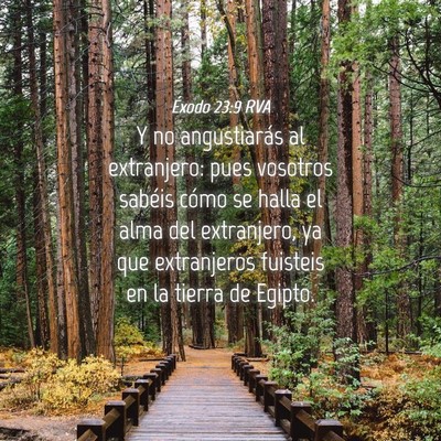 Picture 04 - Éxodo 23:9 RVA - Y no angustiarás al extranjero: pues vosotros - Bible Verse Picture