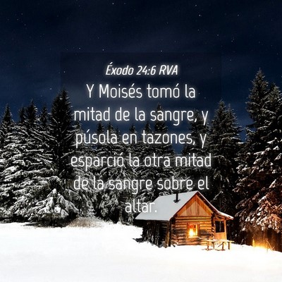 Picture 04 - Éxodo 24:6 RVA - Y Moisés tomó la mitad de la sangre, y púsola - Bible Verse Picture