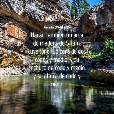 Picture 04 - Éxodo 25:10 RVA - Harán también un arca de madera de Sittim, cuya - Bible Verse Picture
