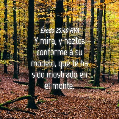 Picture 04 - Éxodo 25:40 RVA - Y mira, y hazlos conforme á su modelo, que te ha - Bible Verse Picture