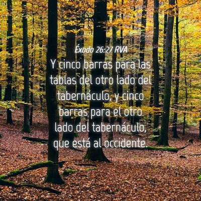 Picture 04 - Éxodo 26:27 RVA - Y cinco barras para las tablas del otro lado del - Bible Verse Picture