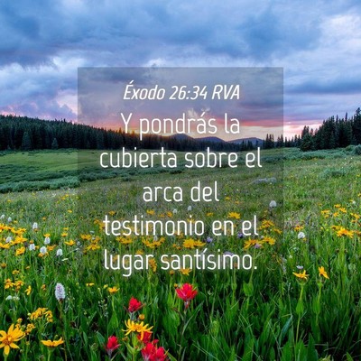 Picture 04 - Éxodo 26:34 RVA - Y pondrás la cubierta sobre el arca del - Bible Verse Picture