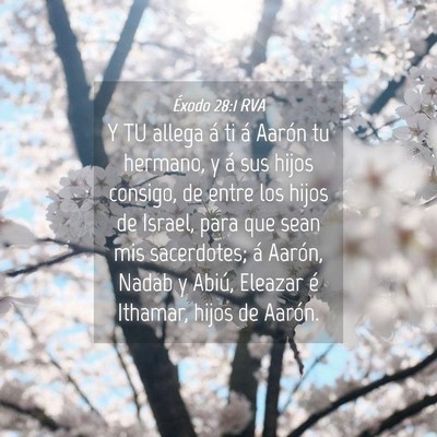 Picture 04 - Éxodo 28:1 RVA - Y TU allega á ti á Aarón tu hermano, y á sus - Bible Verse Picture