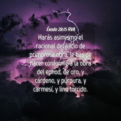 Picture 04 - Éxodo 28:15 RVA - Harás asimismo el racional del juicio de - Bible Verse Picture