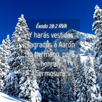 Picture 04 - Éxodo 28:2 RVA - Y harás vestidos sagrados á Aarón tu hermano, - Bible Verse Picture