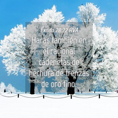 Picture 04 - Éxodo 28:22 RVA - Harás también en el racional cadenetas de - Bible Verse Picture