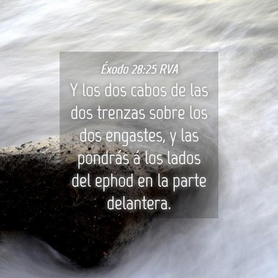 Picture 04 - Éxodo 28:25 RVA - Y los dos cabos de las dos trenzas sobre los dos - Bible Verse Picture