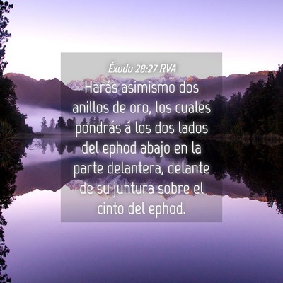 Picture 04 - Éxodo 28:27 RVA - Harás asimismo dos anillos de oro, los cuales - Bible Verse Picture
