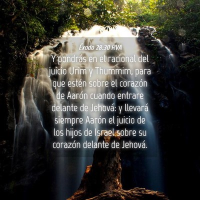 Picture 04 - Éxodo 28:30 RVA - Y pondrás en el racional del juicio Urim y - Bible Verse Picture