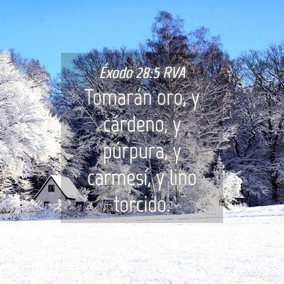 Picture 04 - Éxodo 28:5 RVA - Tomarán oro, y cárdeno, y púrpura, y carmesí, - Bible Verse Picture