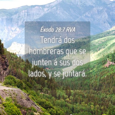Picture 04 - Éxodo 28:7 RVA - Tendrá dos hombreras que se junten á sus dos - Bible Verse Picture