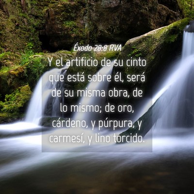 Picture 04 - Éxodo 28:8 RVA - Y el artificio de su cinto que está sobre él, - Bible Verse Picture