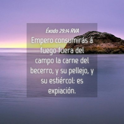 Picture 04 - Éxodo 29:14 RVA - Empero consumirás á fuego fuera del campo la - Bible Verse Picture