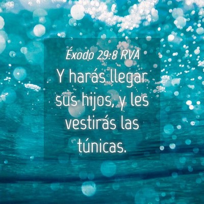 Picture 04 - Éxodo 29:8 RVA - Y harás llegar sus hijos, y les vestirás las - Bible Verse Picture