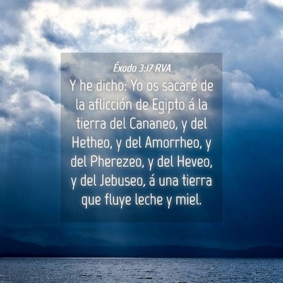 Picture 04 - Éxodo 3:17 RVA - Y he dicho: Yo os sacaré de la aflicción de - Bible Verse Picture
