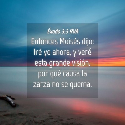 Picture 04 - Éxodo 3:3 RVA - Entonces Moisés dijo: Iré yo ahora, y veré - Bible Verse Picture