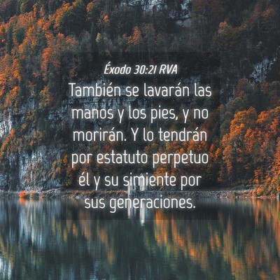 Picture 04 - Éxodo 30:21 RVA - También se lavarán las manos y los pies, y no - Bible Verse Picture