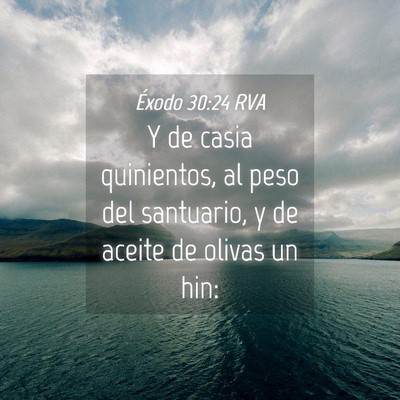 Picture 04 - Éxodo 30:24 RVA - Y de casia quinientos, al peso del santuario, y - Bible Verse Picture