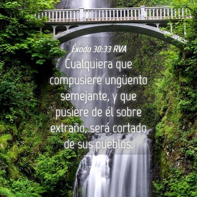 Picture 04 - Éxodo 30:33 RVA - Cualquiera que compusiere ungüento semejante, y - Bible Verse Picture