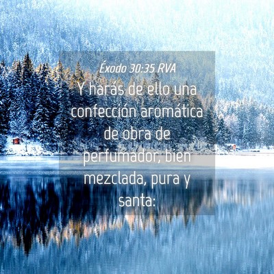 Picture 04 - Éxodo 30:35 RVA - Y harás de ello una confección aromática de - Bible Verse Picture