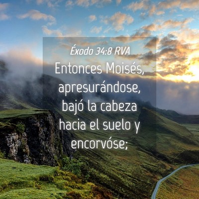 Picture 04 - Éxodo 34:8 RVA - Entonces Moisés, apresurándose, bajó la cabeza - Bible Verse Picture