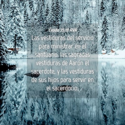 Picture 04 - Éxodo 35:19 RVA - Las vestiduras del servicio para ministrar en el - Bible Verse Picture