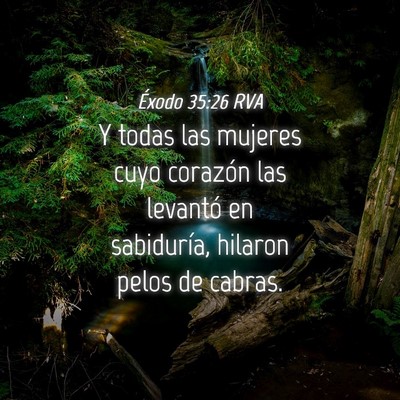 Picture 04 - Éxodo 35:26 RVA - Y todas las mujeres cuyo corazón las levantó en - Bible Verse Picture