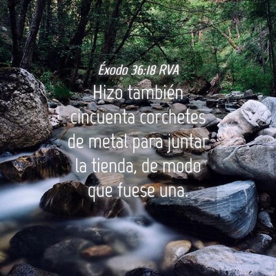 Picture 04 - Éxodo 36:18 RVA - Hizo también cincuenta corchetes de metal para - Bible Verse Picture