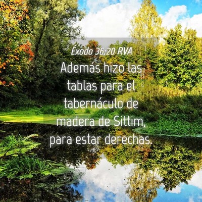 Picture 04 - Éxodo 36:20 RVA - Además hizo las tablas para el tabernáculo de - Bible Verse Picture