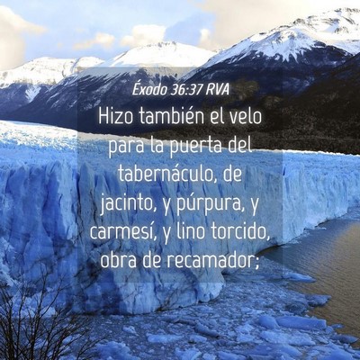 Picture 04 - Éxodo 36:37 RVA - Hizo también el velo para la puerta del - Bible Verse Picture