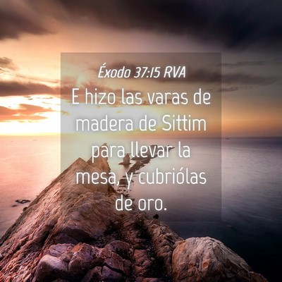 Picture 04 - Éxodo 37:15 RVA - E hizo las varas de madera de Sittim para llevar - Bible Verse Picture