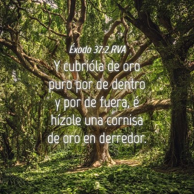 Picture 04 - Éxodo 37:2 RVA - Y cubrióla de oro puro por de dentro y por de - Bible Verse Picture