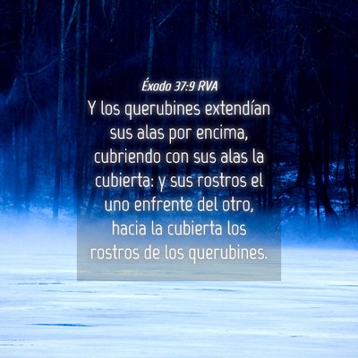 Picture 04 - Éxodo 37:9 RVA - Y los querubines extendían sus alas por encima, - Bible Verse Picture