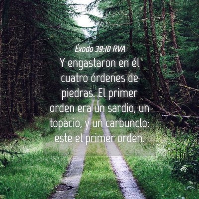 Picture 04 - Éxodo 39:10 RVA - Y engastaron en él cuatro órdenes de piedras. - Bible Verse Picture