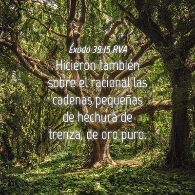 Picture 04 - Éxodo 39:15 RVA - Hicieron también sobre el racional las cadenas - Bible Verse Picture