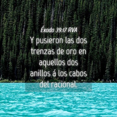 Picture 04 - Éxodo 39:17 RVA - Y pusieron las dos trenzas de oro en aquellos dos - Bible Verse Picture