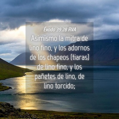 Picture 04 - Éxodo 39:28 RVA - Asimismo la mitra de lino fino, y los adornos de - Bible Verse Picture