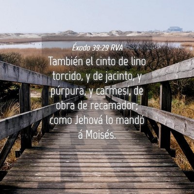 Picture 04 - Éxodo 39:29 RVA - También el cinto de lino torcido, y de jacinto, - Bible Verse Picture