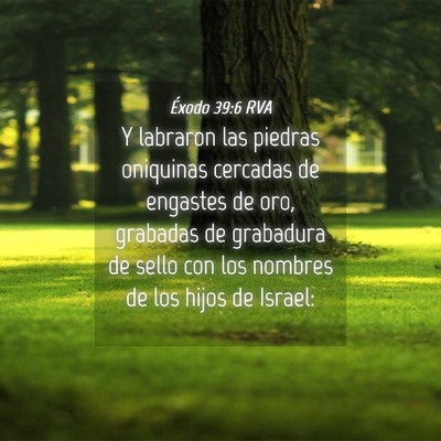 Picture 04 - Éxodo 39:6 RVA - Y labraron las piedras oniquinas cercadas de - Bible Verse Picture