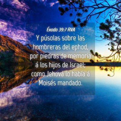 Picture 04 - Éxodo 39:7 RVA - Y púsolas sobre las hombreras del ephod, por - Bible Verse Picture