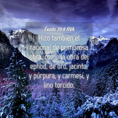 Picture 04 - Éxodo 39:8 RVA - Hizo también el racional de primorosa obra, como - Bible Verse Picture