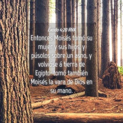 Picture 04 - Éxodo 4:20 RVA - Entonces Moisés tomó su mujer y sus hijos, y - Bible Verse Picture
