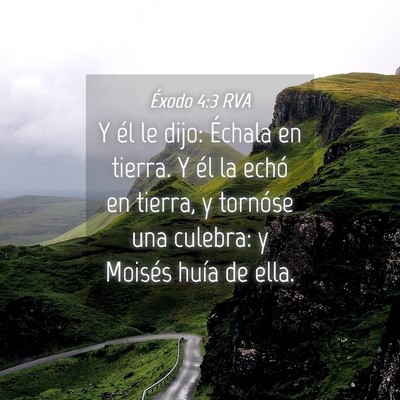 Picture 04 - Éxodo 4:3 RVA - Y él le dijo: Échala en tierra. Y él la echó - Bible Verse Picture