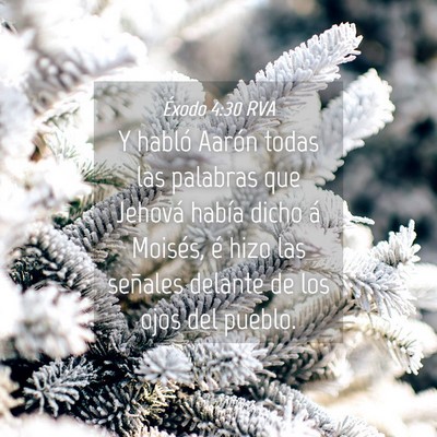 Picture 04 - Éxodo 4:30 RVA - Y habló Aarón todas las palabras que Jehová - Bible Verse Picture