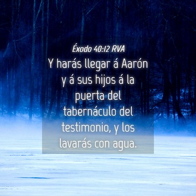 Picture 04 - Éxodo 40:12 RVA - Y harás llegar á Aarón y á sus hijos á la - Bible Verse Picture