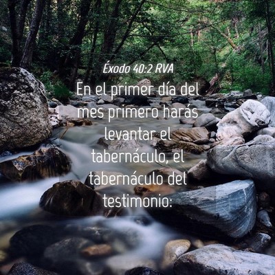 Picture 04 - Éxodo 40:2 RVA - En el primer día del mes primero harás levantar - Bible Verse Picture