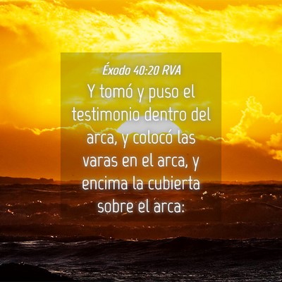 Picture 04 - Éxodo 40:20 RVA - Y tomó y puso el testimonio dentro del arca, y - Bible Verse Picture