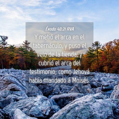 Picture 04 - Éxodo 40:21 RVA - Y metió el arca en el tabernáculo, y puso el - Bible Verse Picture