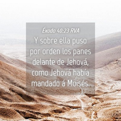 Picture 04 - Éxodo 40:23 RVA - Y sobre ella puso por orden los panes delante de - Bible Verse Picture